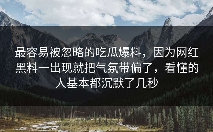 最容易被忽略的吃瓜爆料，因为网红黑料一出现就把气氛带偏了，看懂的人基本都沉默了几秒