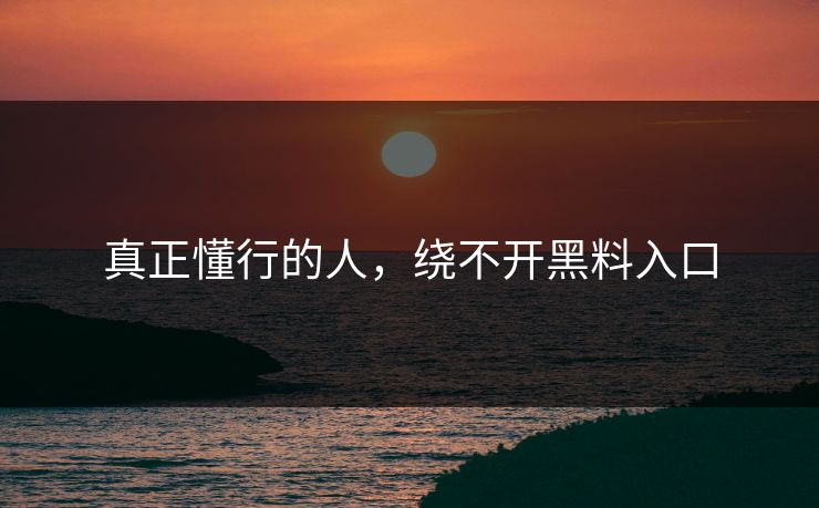 真正懂行的人，绕不开黑料入口
