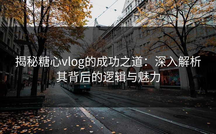 揭秘糖心vlog的成功之道：深入解析其背后的逻辑与魅力