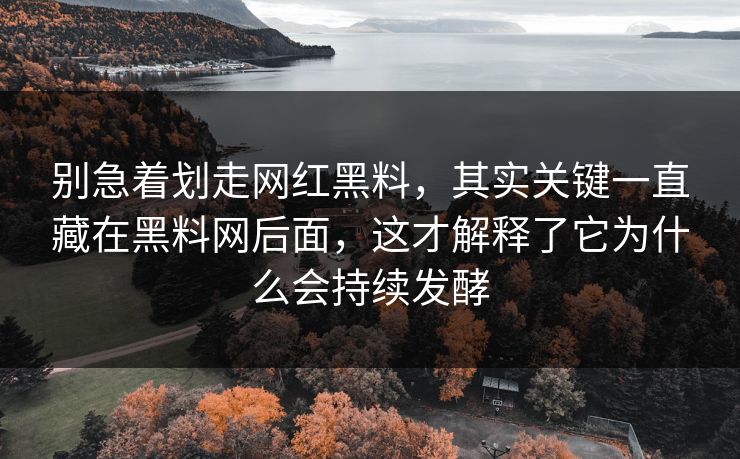 别急着划走网红黑料，其实关键一直藏在黑料网后面，这才解释了它为什么会持续发酵
