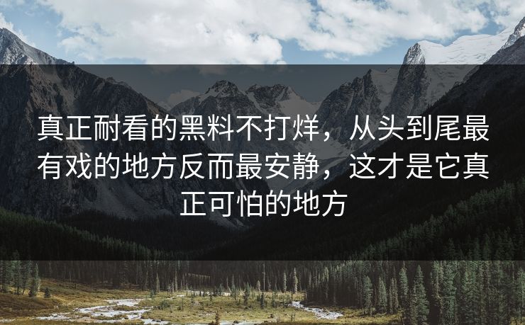 真正耐看的黑料不打烊，从头到尾最有戏的地方反而最安静，这才是它真正可怕的地方