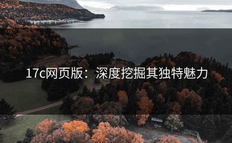 17c网页版：深度挖掘其独特魅力