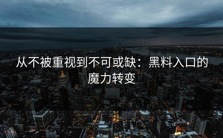 从不被重视到不可或缺：黑料入口的魔力转变