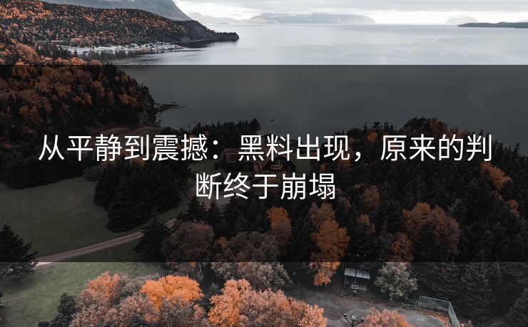 从平静到震撼：黑料出现，原来的判断终于崩塌