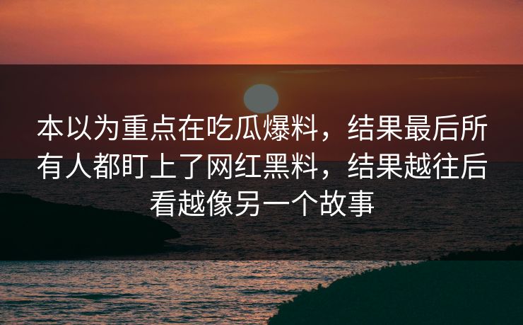 本以为重点在吃瓜爆料，结果最后所有人都盯上了网红黑料，结果越往后看越像另一个故事